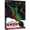 AMER