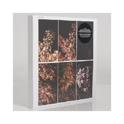 SOLIDIFICATION - BOX 7LP + DVD