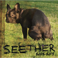 SEETHER:2002-2013