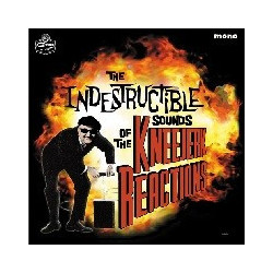 INDESTRUCTIBLE SOUNDS OF . . .