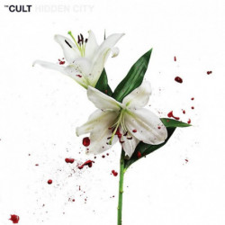 HIDDEN CITY-CD