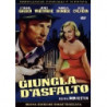 GIUNGLA D'ASFALTO (1951)