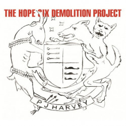 THE HOPE SIX DEMOLITION...