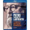 PATHS THROUGH THE LABYRINTH