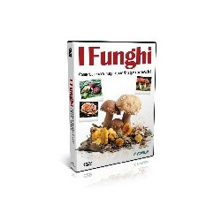 FUNGHI (I)