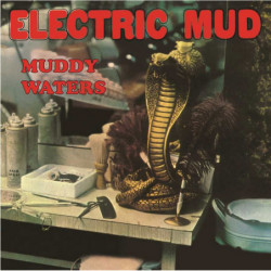 ELECTRIC MUD