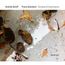 SONATAS & IMPROMPTUS