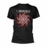 CONVERGE SNAKES