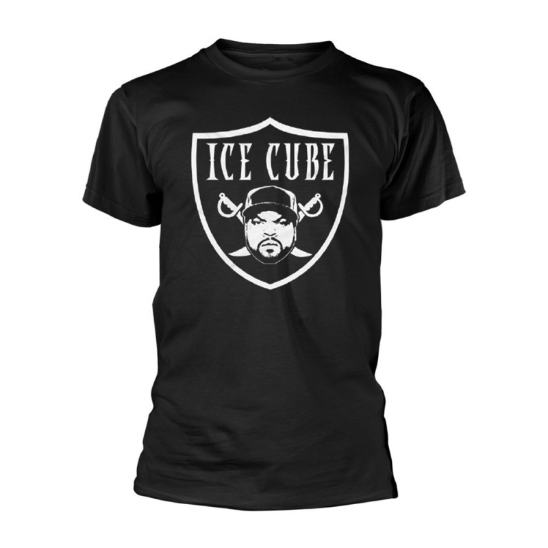 ICE CUBE RAIDER