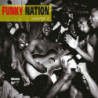 FUNKY NATION VOL 2 (LP)