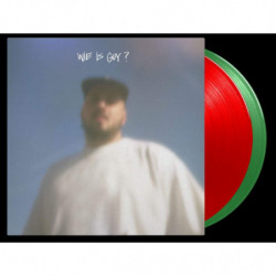 WIE IS GUY? -HQ/GATEFOLD-