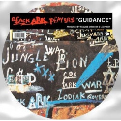 GUIDANCE (PICTURE DISC)