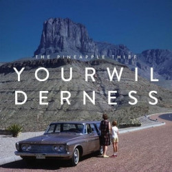 YOUR WILDERNESS