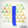 BLUE SLIDE PARK