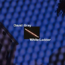 WHITE LADDER (2020 REMASTER)