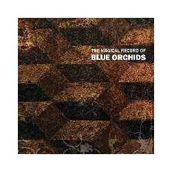 MAGICAL RECORD OF BLUE ORCHIDS