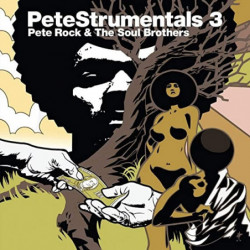 PETESTRUMENTALS 3