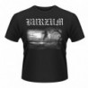 BURZUM ASKE 2013