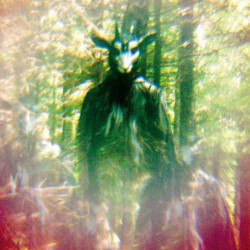 BLACK GOAT OF THE WOODS