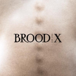 BROOD X