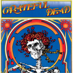 GRATEFUL DEAD (SKULL & ROSES)