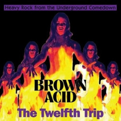 BROWN ACID - THE TWELFTH TRIP