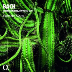 BACH SONATES EN TRIO  BWV 525