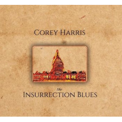 THE INSURRECTION BLUES