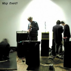 WHY FOOT? (CLEAR VINYL)