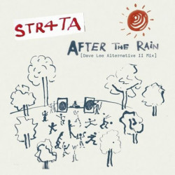 AFTER THE RAIN (DAVE LEE...