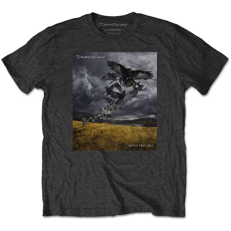 DAVID GILMOUR UNISEX TEE: RATTLE THAT LOCK (SMALL)