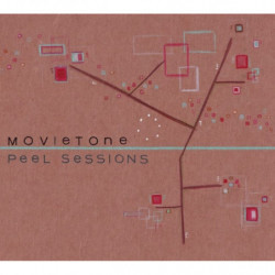 PEEL SESSIONS (PLUS CD)