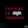 CULTURE OF VIOLENCE