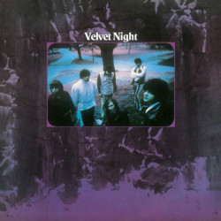 VELVET NIGHT (VIOLET VINYL)