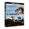 GIGANTE, IL (4K ULTRA HD + BLU-RAY)