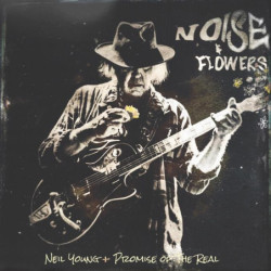 NOISE AND FLOWERS