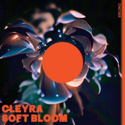 SOFT BLOOM