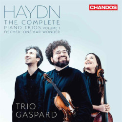 HAYDN: COMPLETE PIANO TRIOS...