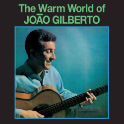 THE WARM WORLD OF JOAO...