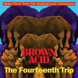 BROWN ACID - THE FOURTEENTH...