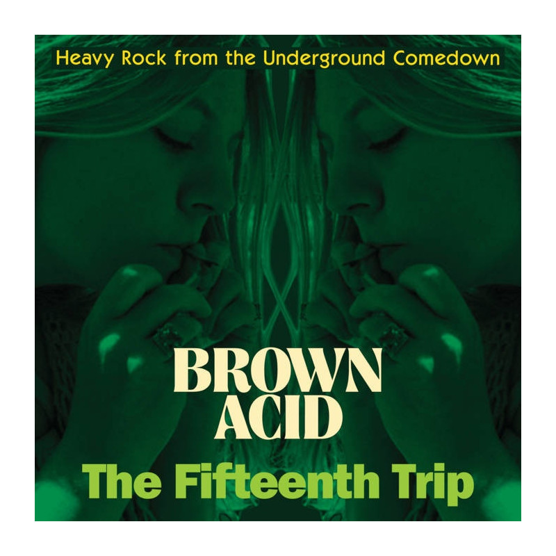 BROWN ACID - THE FIFTEENTH TRIP