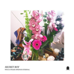 SECRET BOY (DOUBLEMINT...