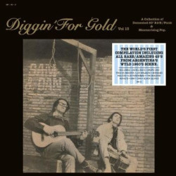 DIGGIN' FOR GOLD VOL.13