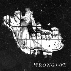 WRONG LIFE