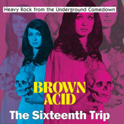 BROWN ACID - THE SIXTEENTH...