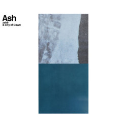 ASH (TRANS OCHRE VINYL)