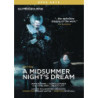 A MIDSUMMER NIGHTS DREAM