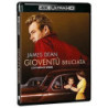 GIOVENT¨ BRUCIATA (4K ULTRA HD + BLU-RAY)