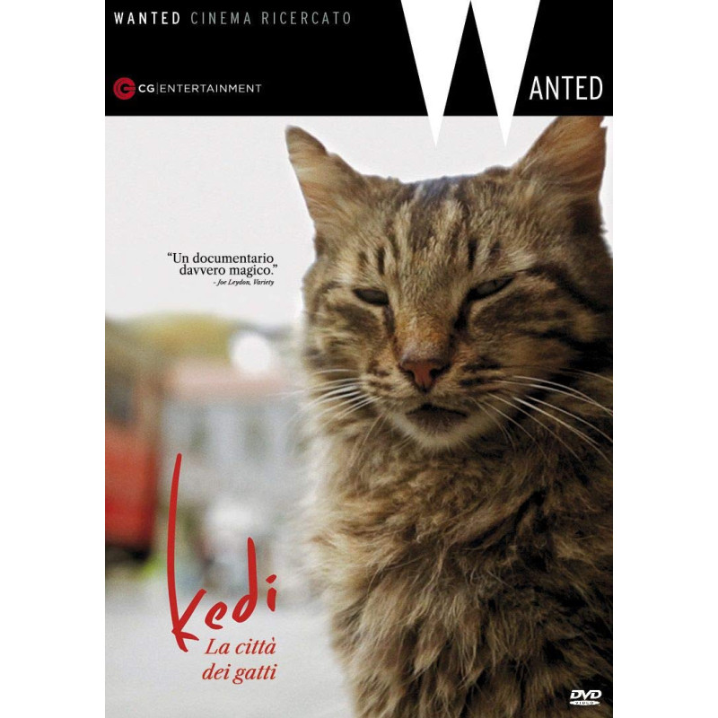 KEDI LA CITTA` DEI GATTI - DVD           REGIA CEYDA TORUN