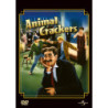 ANIMAL CRACKERS - DVD REGIA